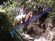 Pululahua_Horse_Trail